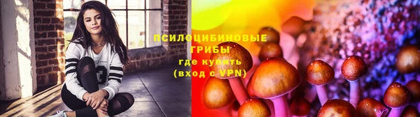 2c-b Новодвинск