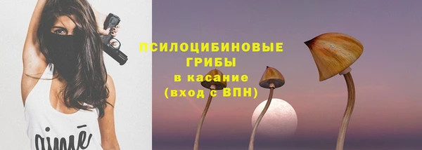 2c-b Новодвинск