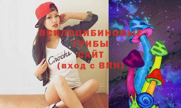 соль курить ск Новозыбков